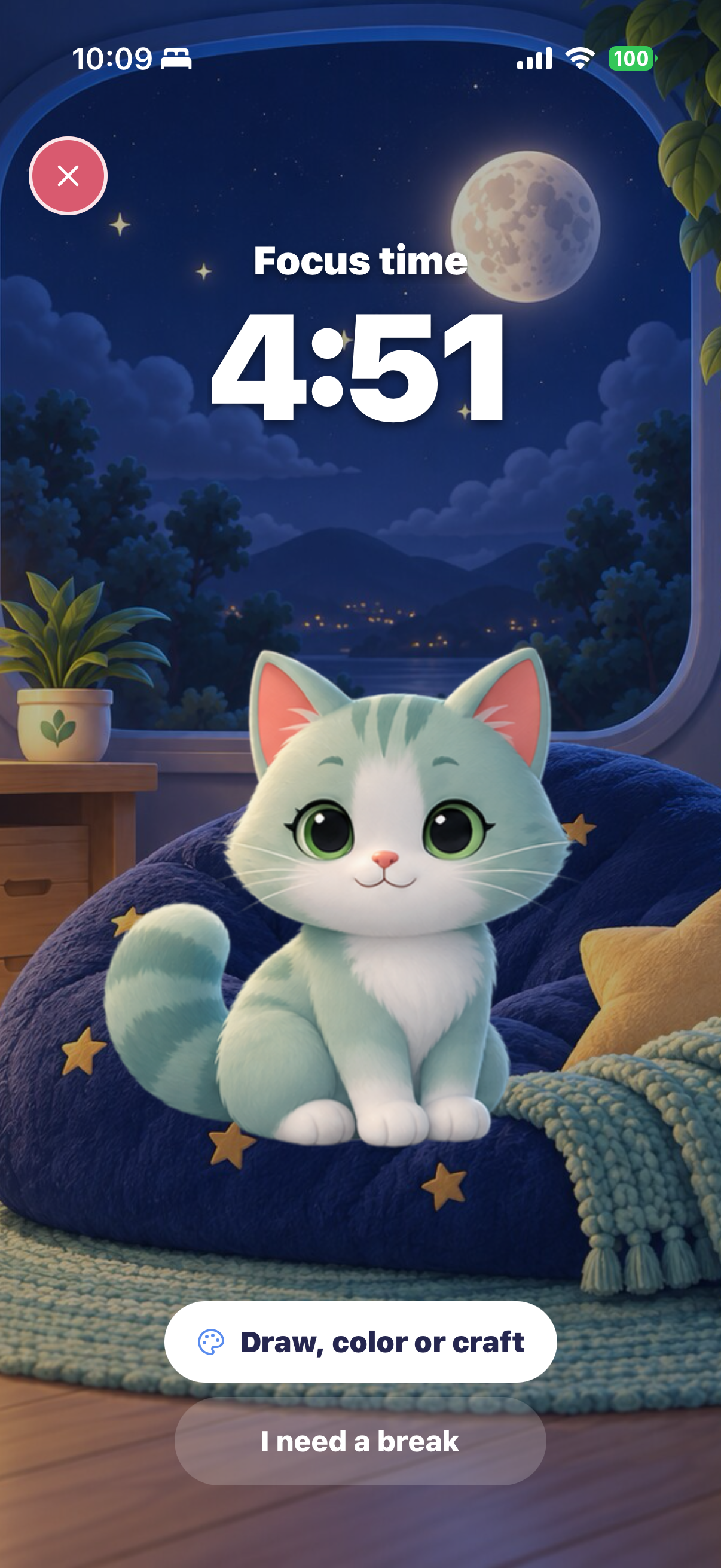 A focus session in the Moonlight Room with the cat on the beanbag
